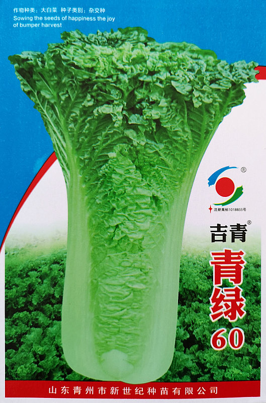 青绿60——白菜 青绿60——白菜